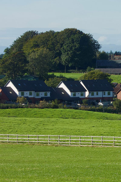 a row of new houses surrounded by fields and trees